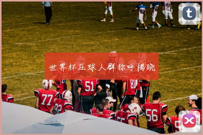 世界杯压球人群称呼揭晓