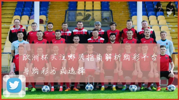 欧洲杯买注哪买指南解析购彩平台与购彩方式选择
