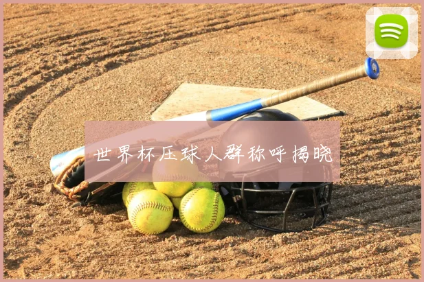 世界杯压球人群称呼揭晓