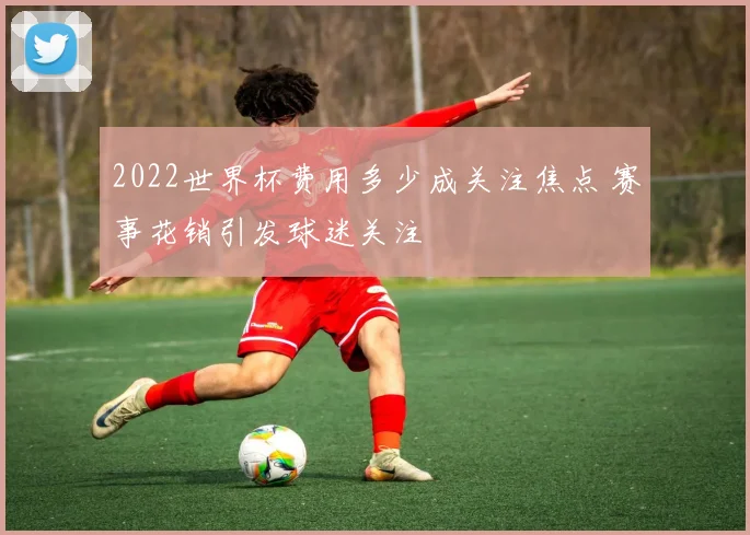2022世界杯费用多少成关注焦点 赛事花销引发球迷关注