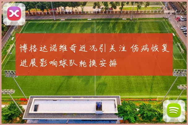 博格达诺维奇近况引关注 伤病恢复进展影响球队轮换安排